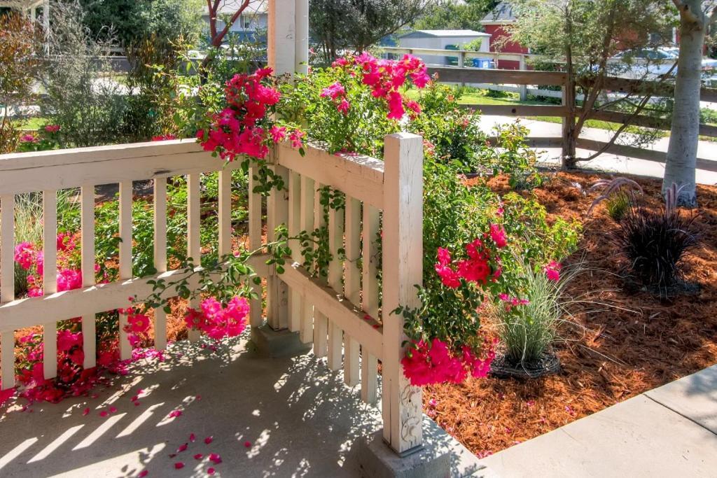 Serene Bungalow-Style Home In Point Reyes Station! Eksteriør bilde